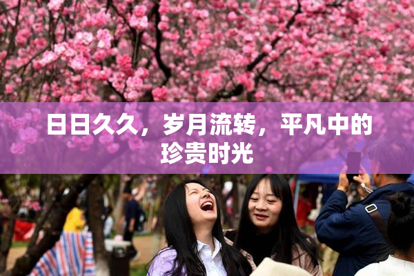 日日久久，岁月流转，平凡中的珍贵时光
