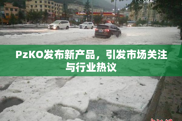 PzKO发布新产品，引发市场关注与行业热议