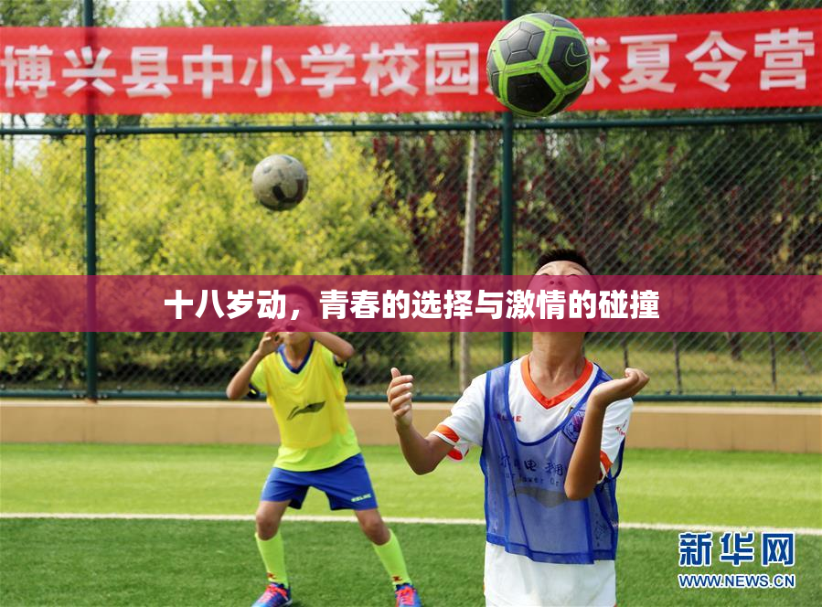十八岁动，青春的选择与激情的碰撞