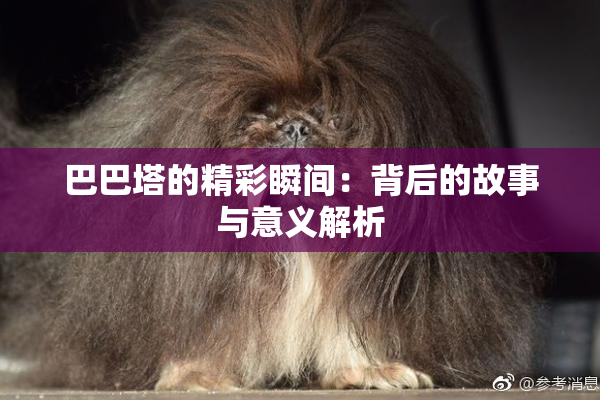 巴巴塔的精彩瞬间：背后的故事与意义解析
