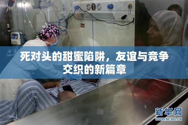 死对头的甜蜜陷阱，友谊与竞争交织的新篇章