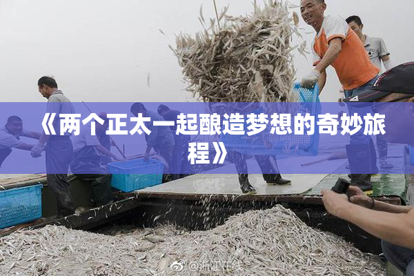 《两个正太一起酿造梦想的奇妙旅程》