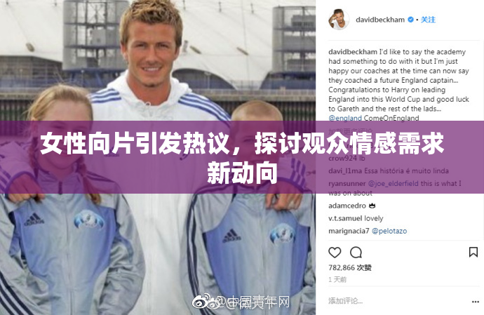女性向片引发热议，探讨观众情感需求新动向