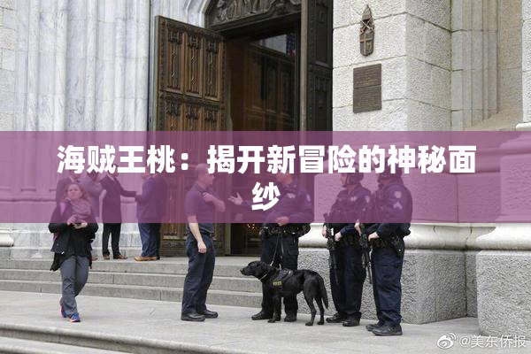 海贼王桃：揭开新冒险的神秘面纱