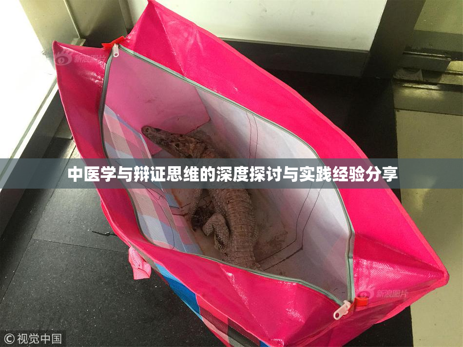 中医学与辩证思维的深度探讨与实践经验分享