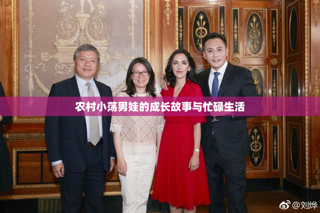 农村小荡男娃的成长故事与忙碌生活