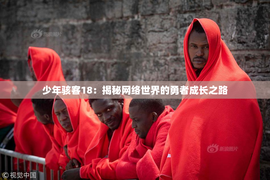 少年骇客18：揭秘网络世界的勇者成长之路