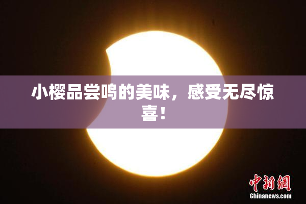 小樱品尝鸣的美味，感受无尽惊喜！