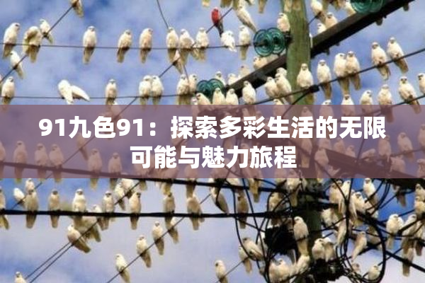 91九色91：探索多彩生活的无限可能与魅力旅程