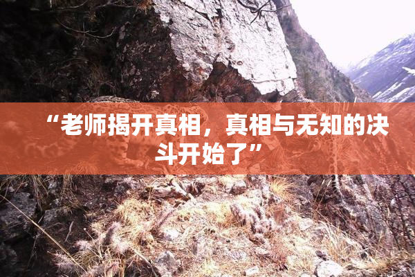 “老师揭开真相，真相与无知的决斗开始了”