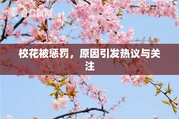 校花被惩罚，原因引发热议与关注