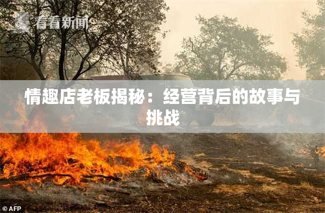 情趣店老板揭秘：经营背后的故事与挑战