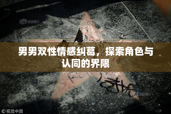 男男双性情感纠葛，探索角色与认同的界限
