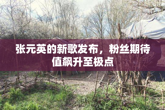 张元英的新歌发布，粉丝期待值飙升至极点