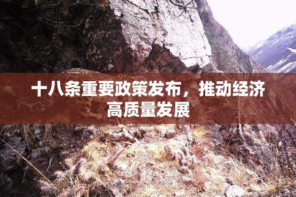 十八条重要政策发布，推动经济高质量发展