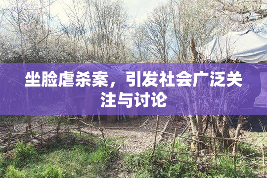 坐脸虐杀案，引发社会广泛关注与讨论