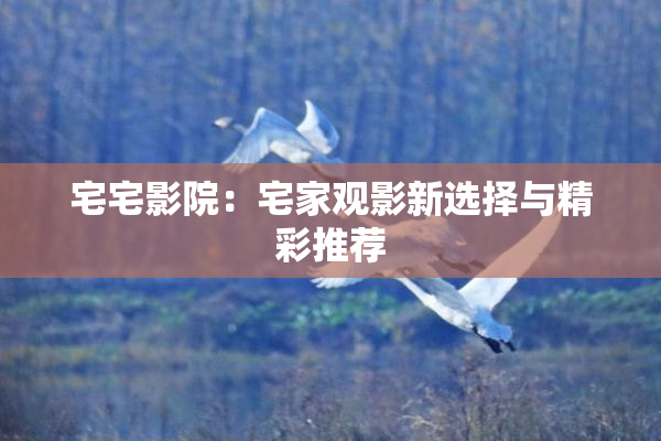 宅宅影院：宅家观影新选择与精彩推荐