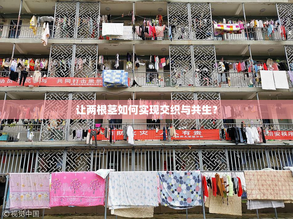 让两根茎如何实现交织与共生？