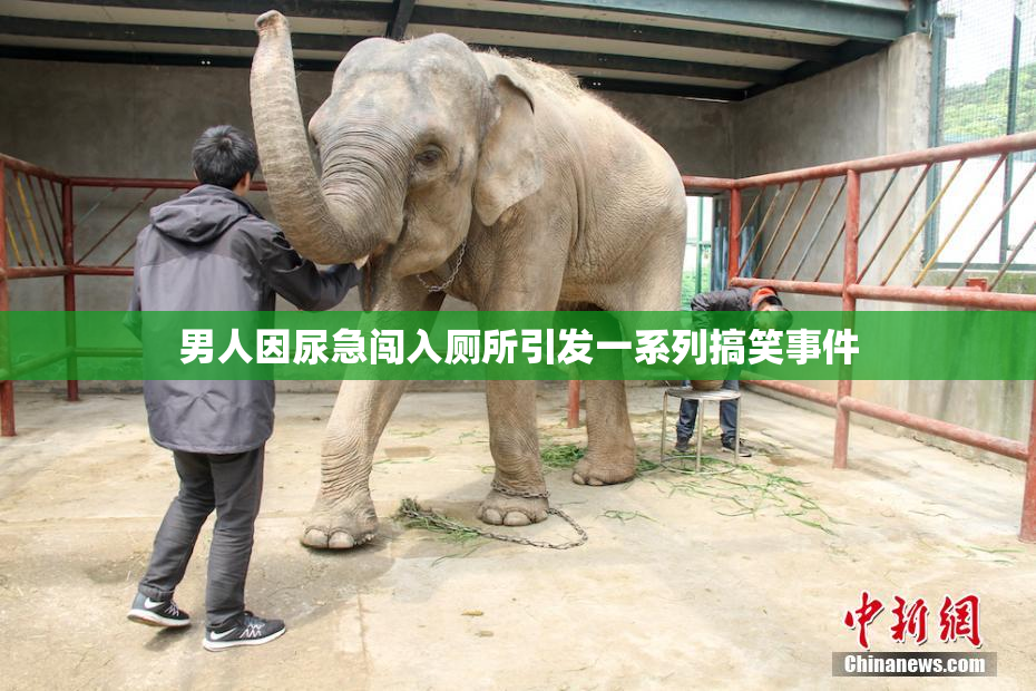 男人因尿急闯入厕所引发一系列搞笑事件