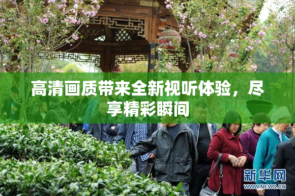 高清画质带来全新视听体验，尽享精彩瞬间