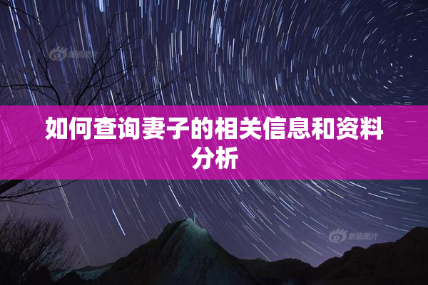 如何查询妻子的相关信息和资料分析