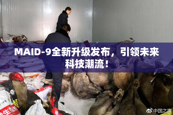 MAID-9全新升级发布，引领未来科技潮流！