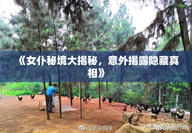 《女仆秘境大揭秘，意外揭露隐藏真相》