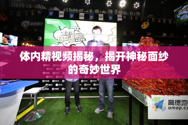 体内精视频揭秘，揭开神秘面纱的奇妙世界