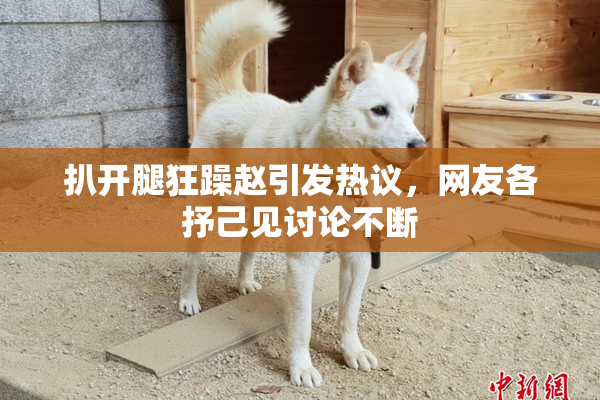 扒开腿狂躁赵引发热议，网友各抒己见讨论不断