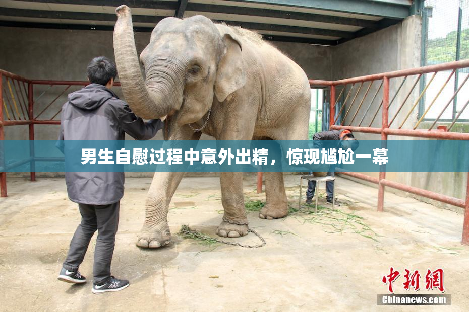 男生自慰过程中意外出精，惊现尴尬一幕