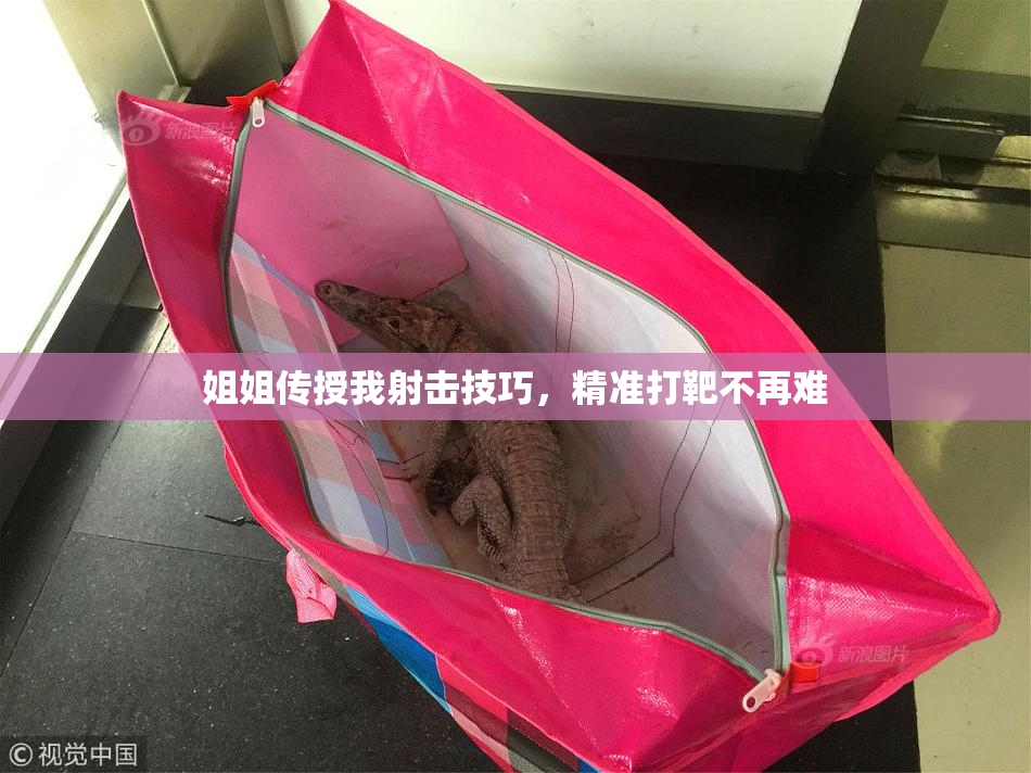 姐姐传授我射击技巧，精准打靶不再难