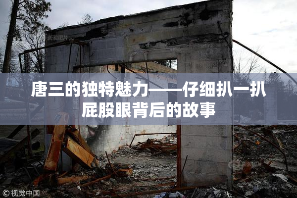 唐三的独特魅力——仔细扒一扒屁股眼背后的故事