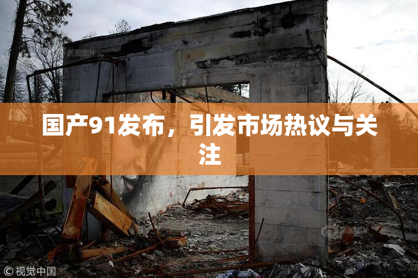 国产91发布，引发市场热议与关注