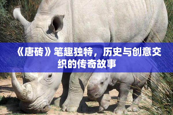 《唐砖》笔趣独特，历史与创意交织的传奇故事