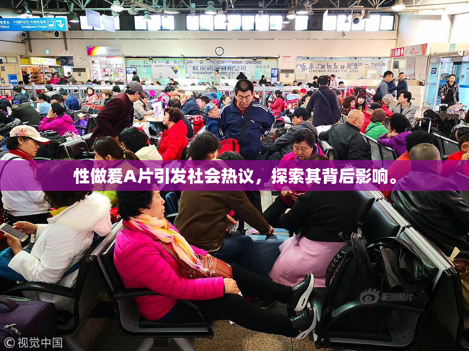 性做爰A片引发社会热议，探索其背后影响。