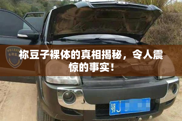 祢豆子裸体的真相揭秘，令人震惊的事实！
