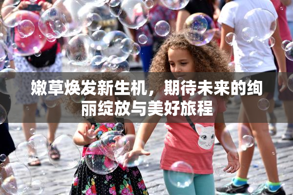 嫩草焕发新生机，期待未来的绚丽绽放与美好旅程