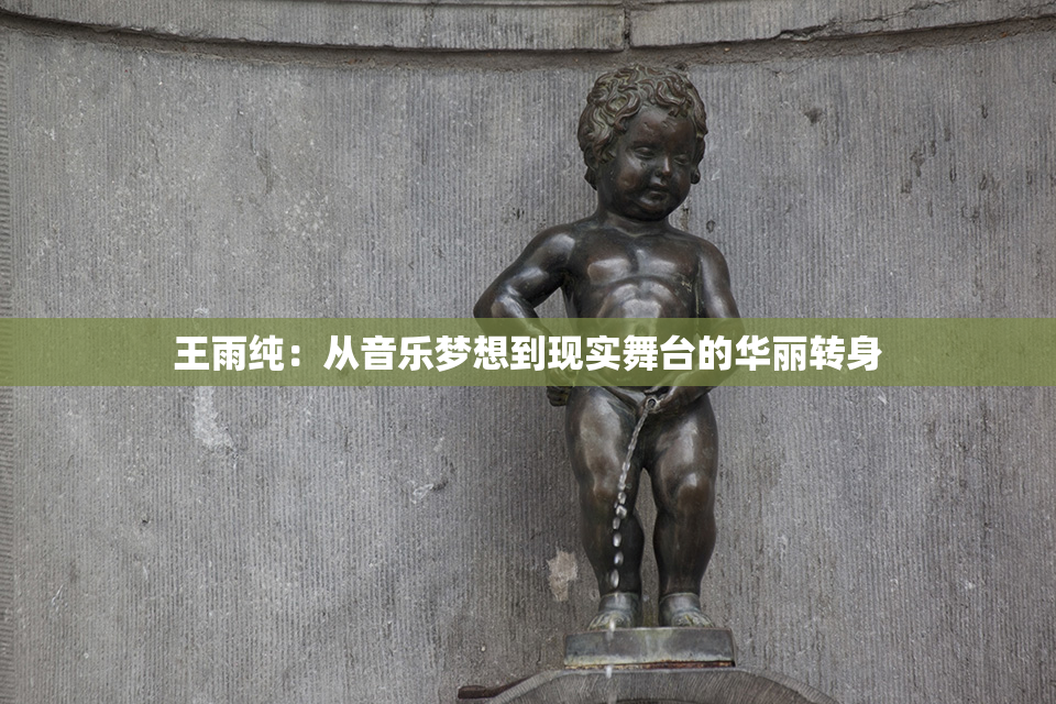 王雨纯：从音乐梦想到现实舞台的华丽转身