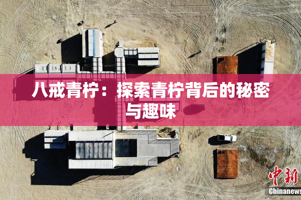 八戒青柠：探索青柠背后的秘密与趣味