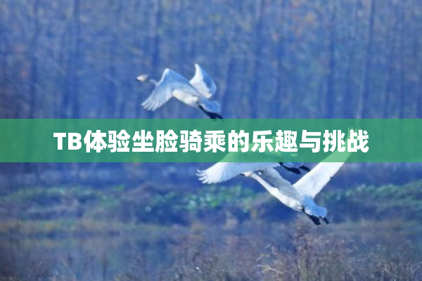 TB体验坐脸骑乘的乐趣与挑战