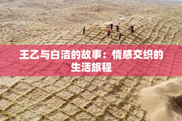 王乙与白洁的故事：情感交织的生活旅程