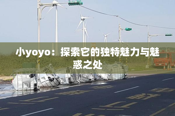 小yoyo：探索它的独特魅力与魅惑之处