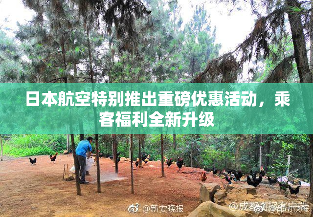 日本航空特别推出重磅优惠活动，乘客福利全新升级