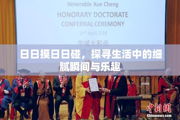日日摸日日碰，探寻生活中的细腻瞬间与乐趣