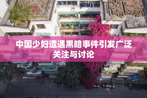中国少妇遭遇黑暗事件引发广泛关注与讨论