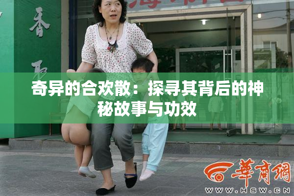 奇异的合欢散：探寻其背后的神秘故事与功效