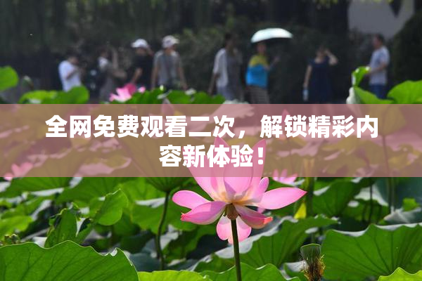 全网免费观看二次，解锁精彩内容新体验！