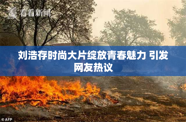 刘浩存时尚大片绽放青春魅力 引发网友热议