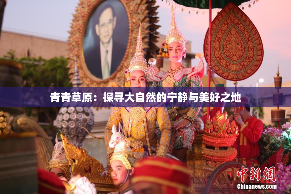青青草原：探寻大自然的宁静与美好之地