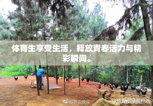 体育生享受生活，释放青春活力与精彩瞬间。